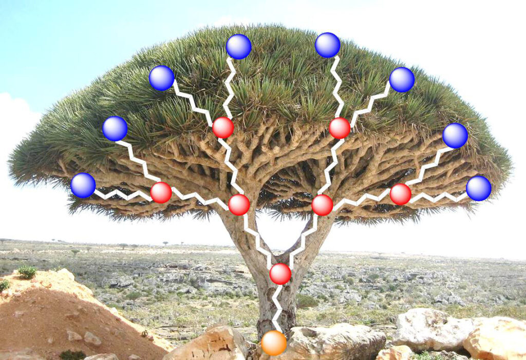 Les dendrimères, des nano-molécules pour le transport de médicaments 2